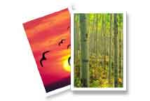 Digital Picture Recovery Software
