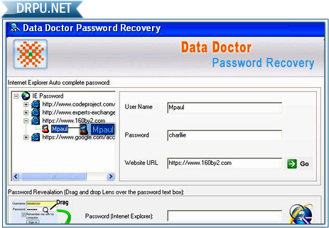 Internet Explorer Password Recovery tool
