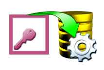MS Access to MySQL Database Converter